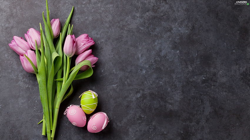 Tulips, Easter, eggs, Grey Background, Three, Pink, easter pink HD wallpaper