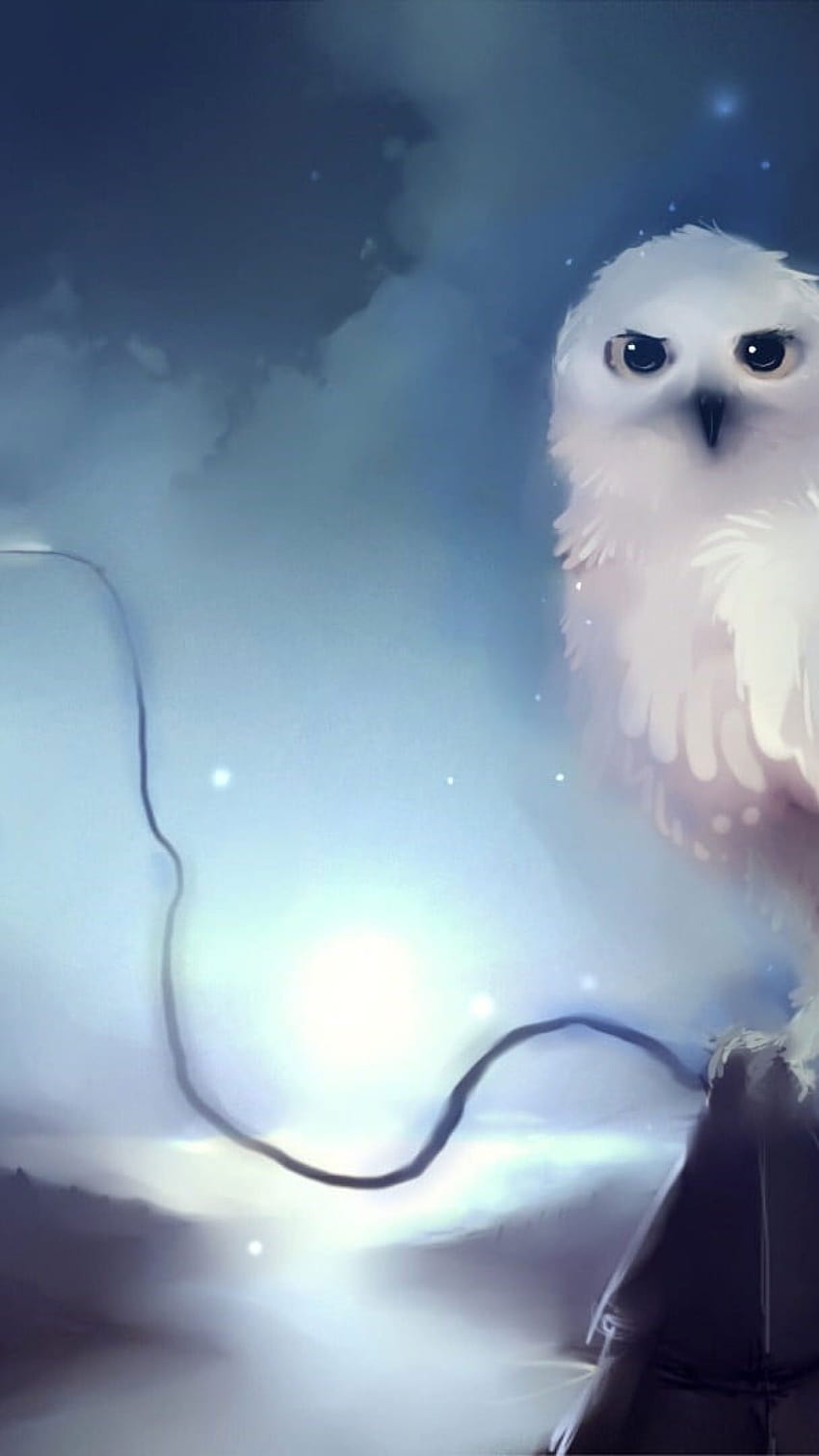 Pictures Of Hedwig Background Images HD Pictures and Wallpaper For Free  Download  Pngtree