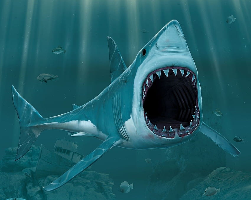 Dientes afilados de boca abierta de dibujos animados de tiburón 3d fondo de pantalla