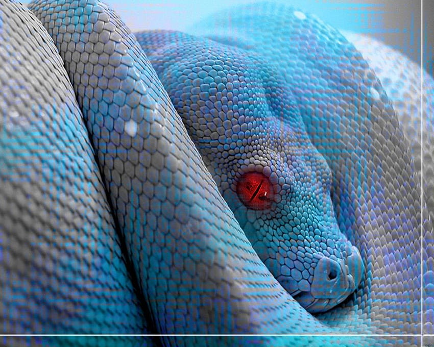 Scary snake HD wallpaper | Pxfuel