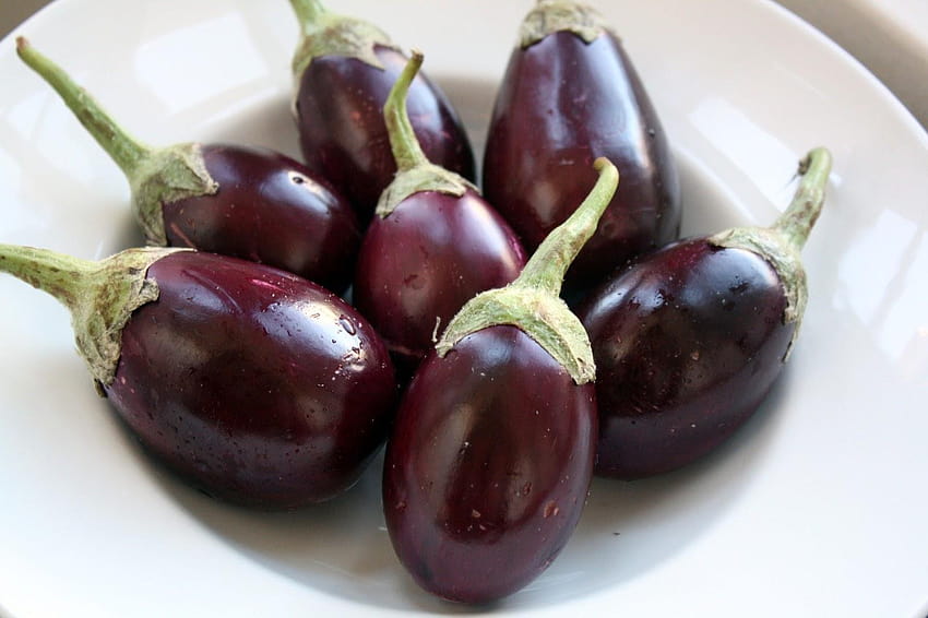Eggplant High Quality, aubergines HD wallpaper