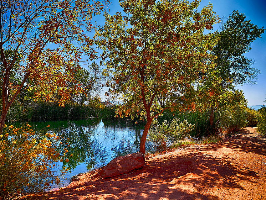 Nature Autumn Pond Trees, kekaguman musim gugur Wallpaper HD