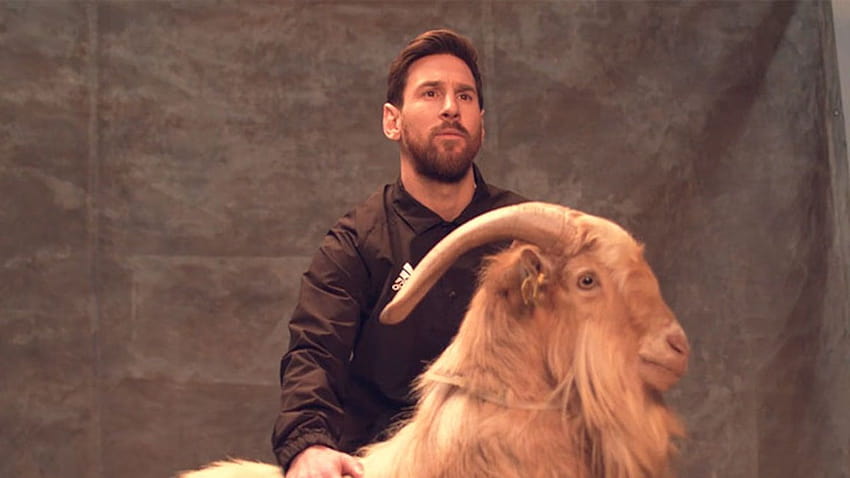 Lionel Messi Poses with Goats While Saying He's Not the G.O.A.T, lionel messi goat 2020 HD wallpaper
