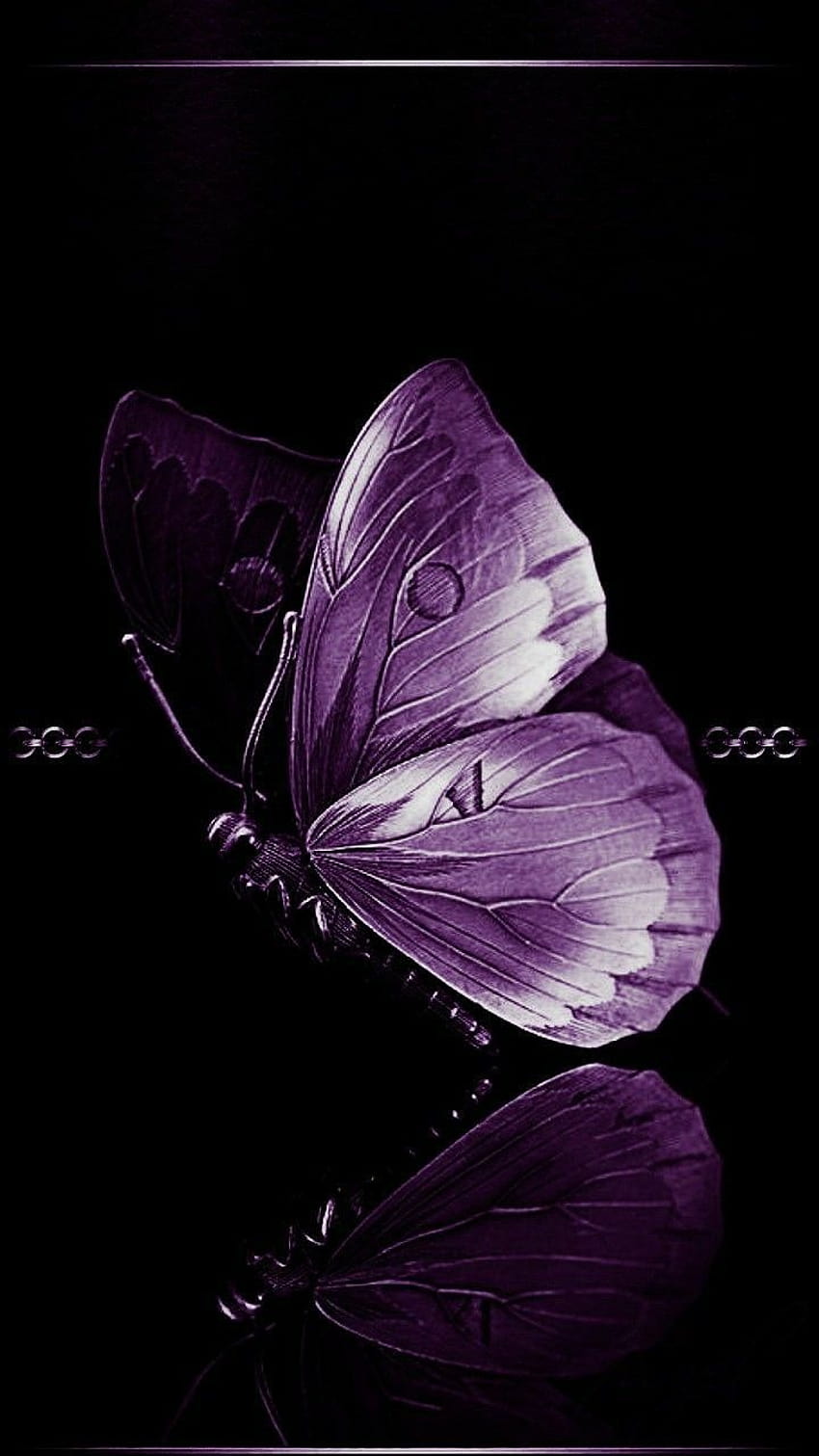 Purple butterfly HD phone wallpaper | Pxfuel