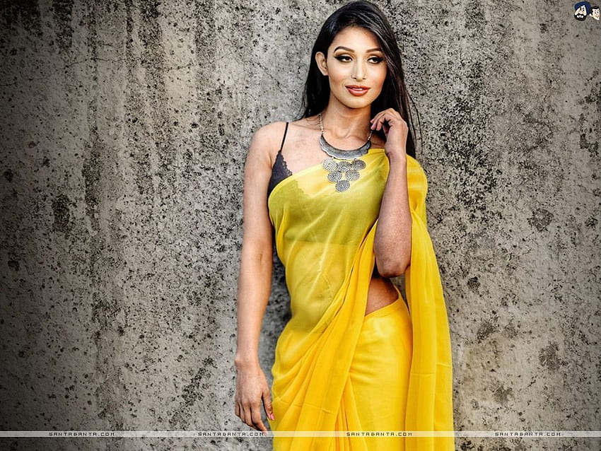 Heiße Bollywood-Heldinnen und -Schauspielerinnen, indische Models, Mädchen und Saree-Models HD-Hintergrundbild