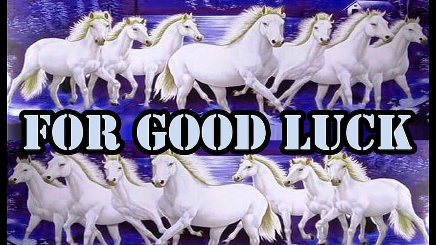 Sieben weiße Pferde, die um Glück rennen von Astrologe Bharat, 7horse HD-Hintergrundbild