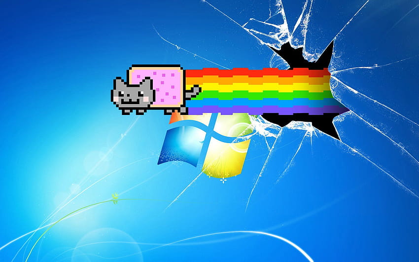 Nyan Cat, pop tart cat HD wallpaper