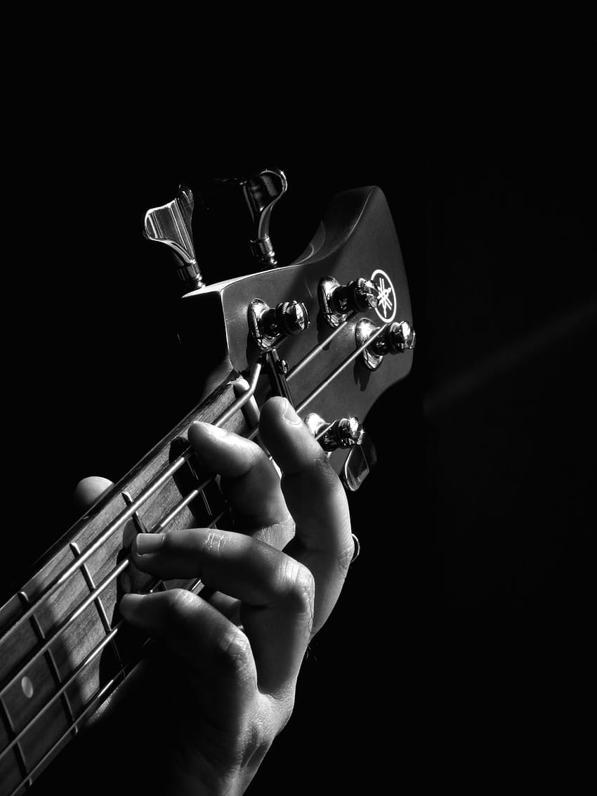 50 Bass Guitar [], bass player HD phone wallpaper