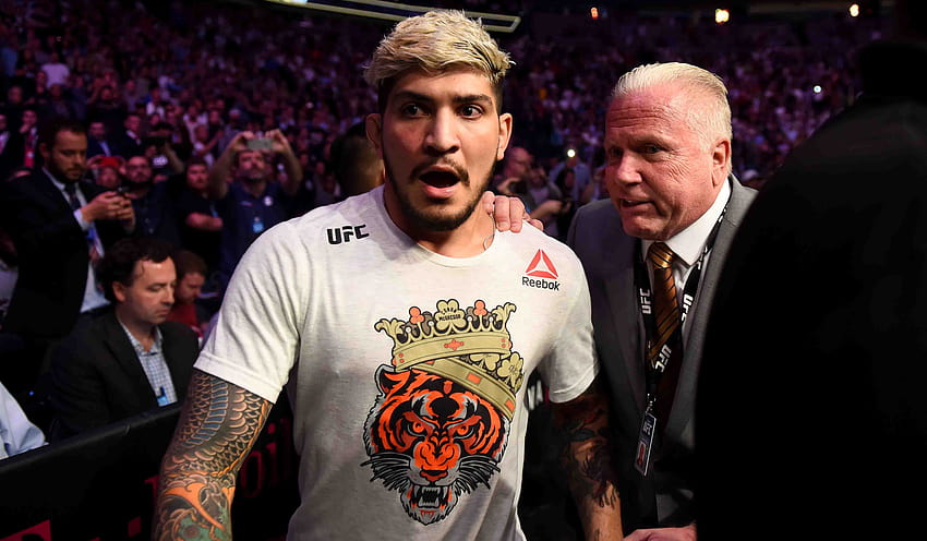 Dillon Danis Hits Back At His Ban And Fine From UFC 229 Brawl HD wallpaper