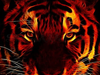 Page 3 | red tiger HD wallpapers | Pxfuel