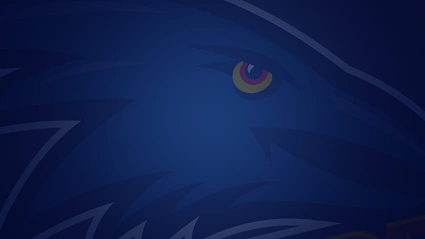 In Adelaide, adelaide crows HD wallpaper