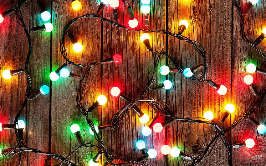 Christmas Lights on Dog, christmas lamps HD wallpaper