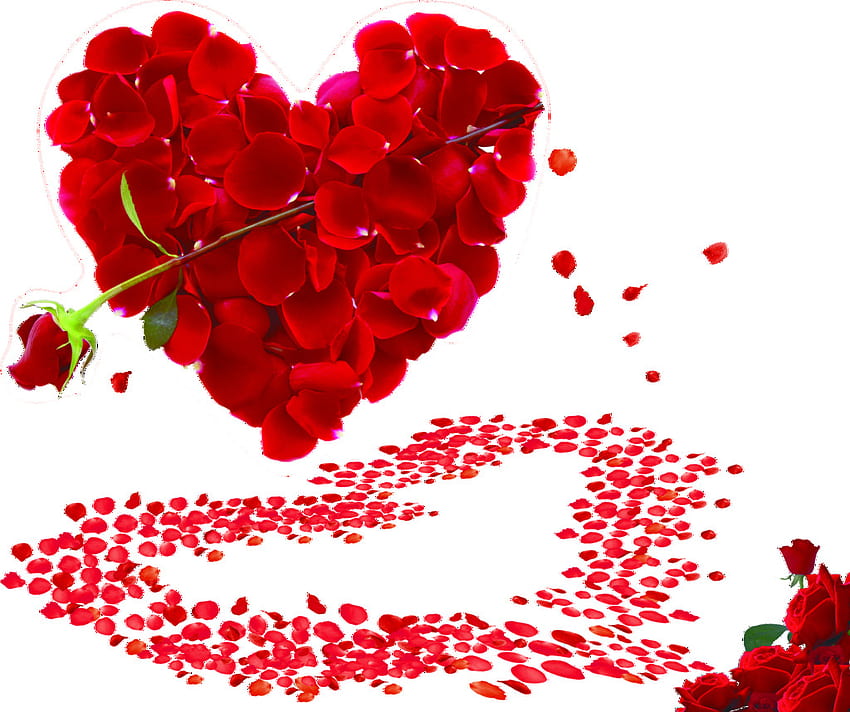 Heart Propose Valentines Rose ...itl.cat, rose propose HD wallpaper