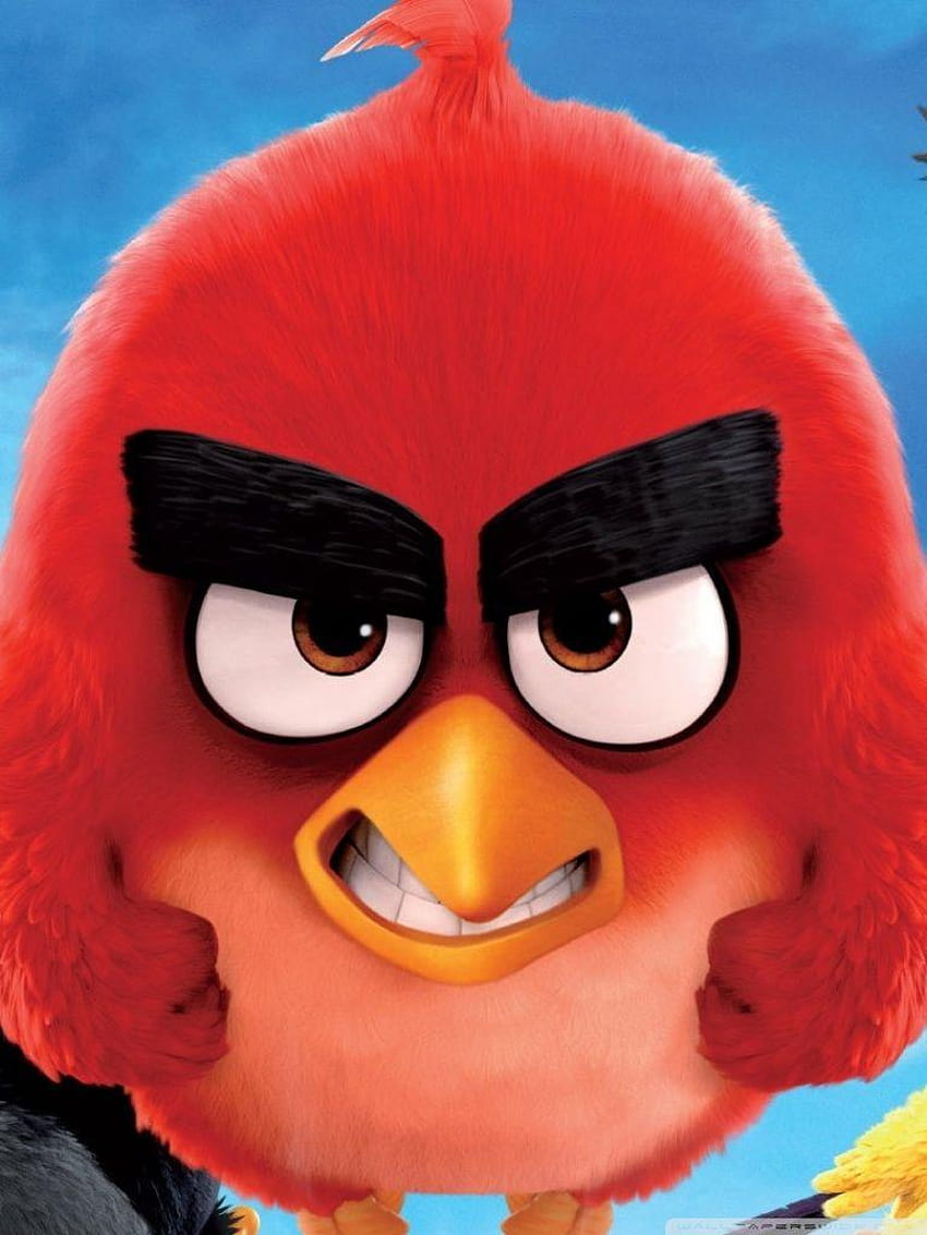 2016 Angry Birds Movie ❤ for Ultra, the angry birds movie HD phone wallpaper