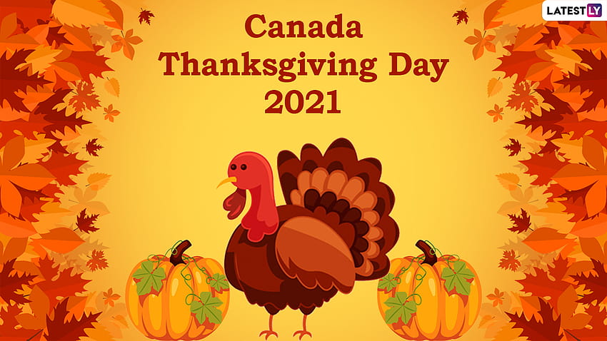 Canada Thanksgiving Day 2021 Wishes: Netizens Share Warm Greeting, Quotes And Messages On The Occasion Of Thanksgiving Day In Canada HD wallpaper