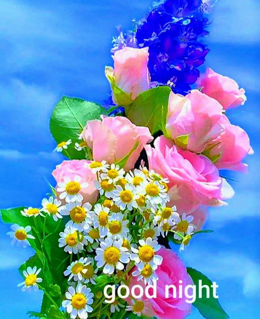 Beautiful flowers good night HD wallpapers | Pxfuel