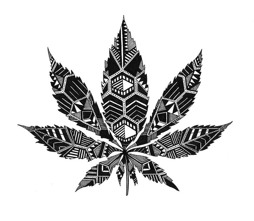  Tumblr Dibujos Plantas, planta de marihuana tumblr fondo de pantalla |  Pxfuel