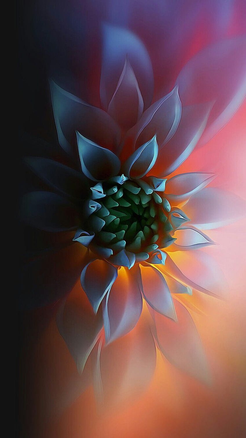 R on iPhone, amoled flower android HD phone wallpaper