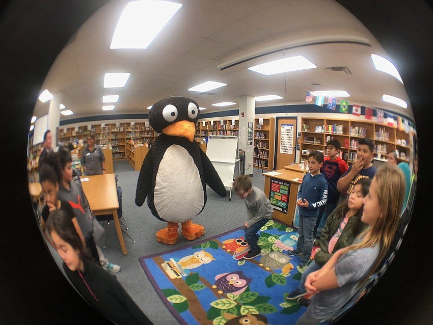 JiJi the ST Math Penguin Visits Davis Elementary HD wallpaper | Pxfuel