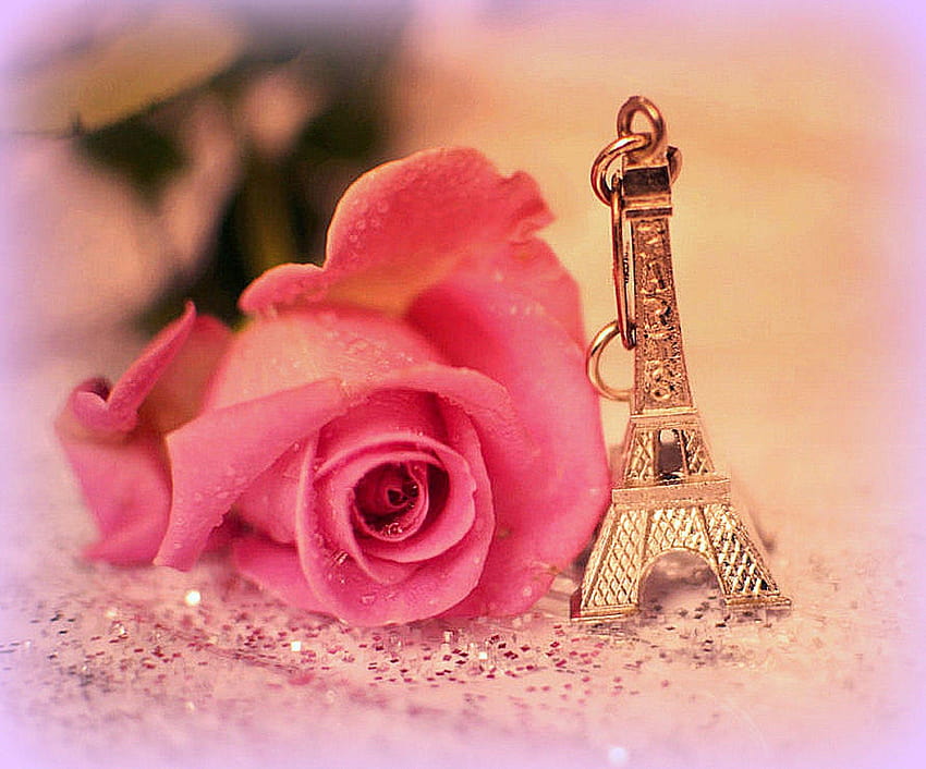Kwiaty: Romantyczna paryska grafika Różowy Wspaniała Miękkość Piękno, cięcie Tapeta HD