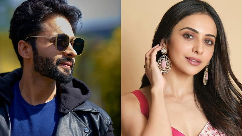 Rakul Preet Singh on relationship with Jackky Bhagnani: 'There is nothing to hide or be sly about a relationship' HD wallpaper