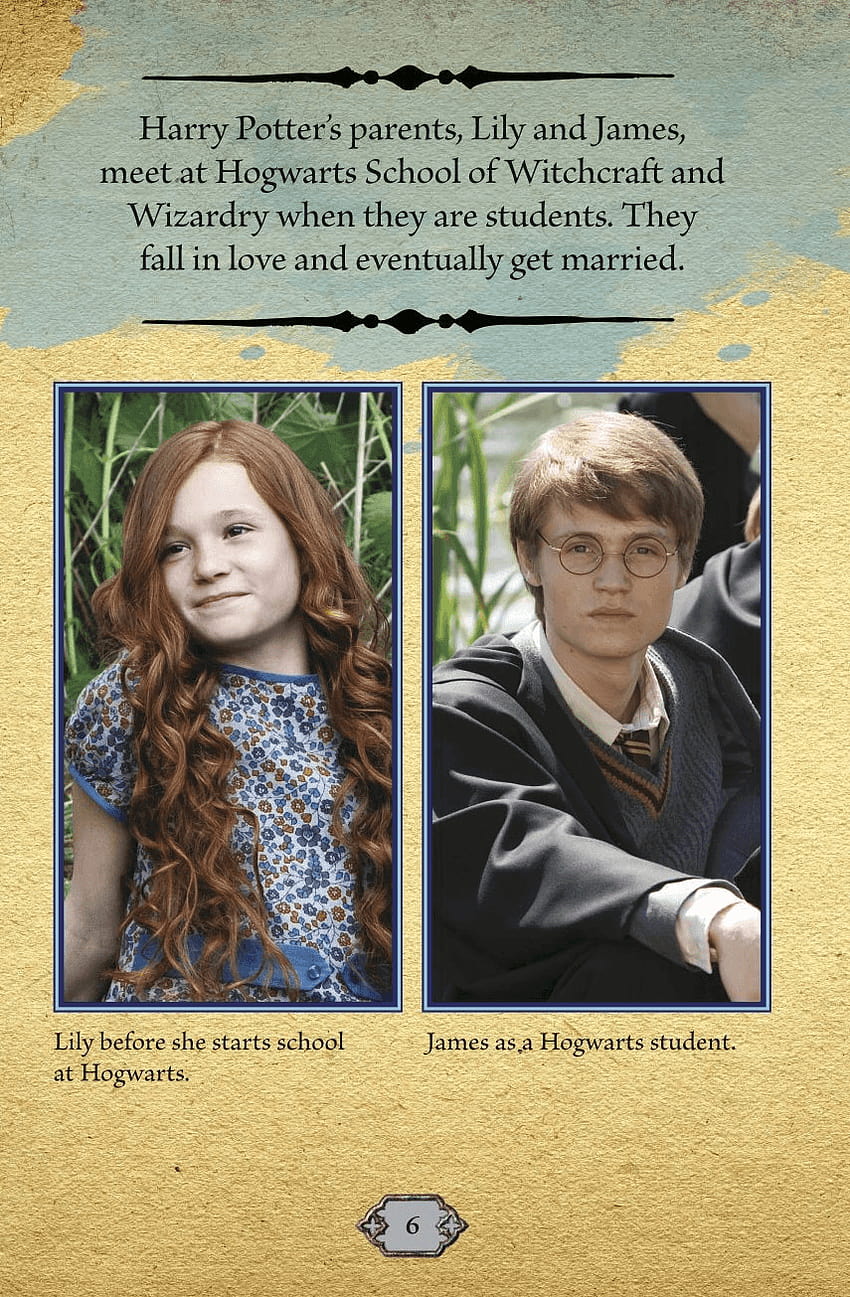 Reasons Why James Potter Didn't Really Love Lily..., lily evans potter HD phone wallpaper