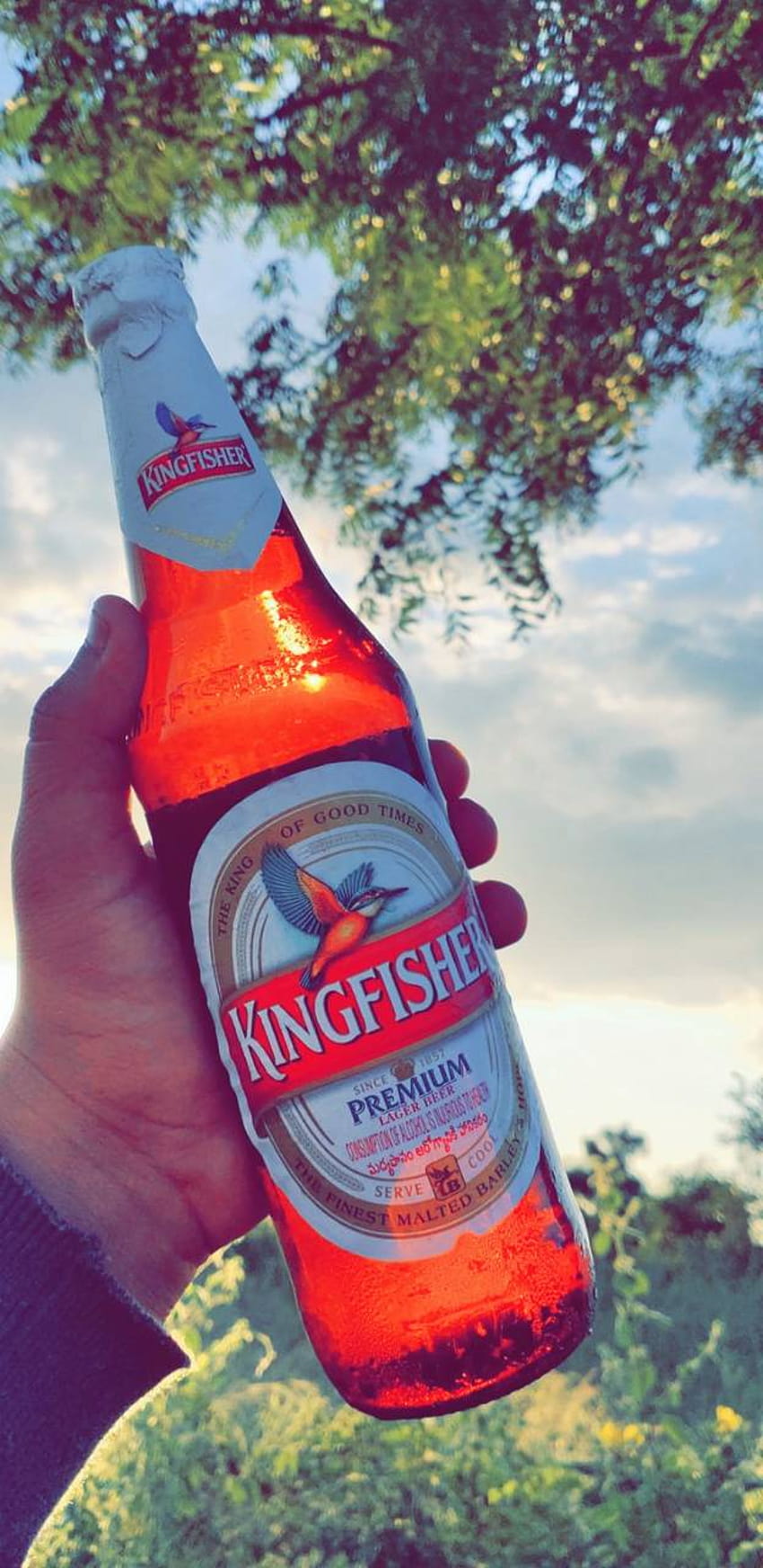 kingfisher best beer Videos • SIDDU (@modeli) on ShareChat