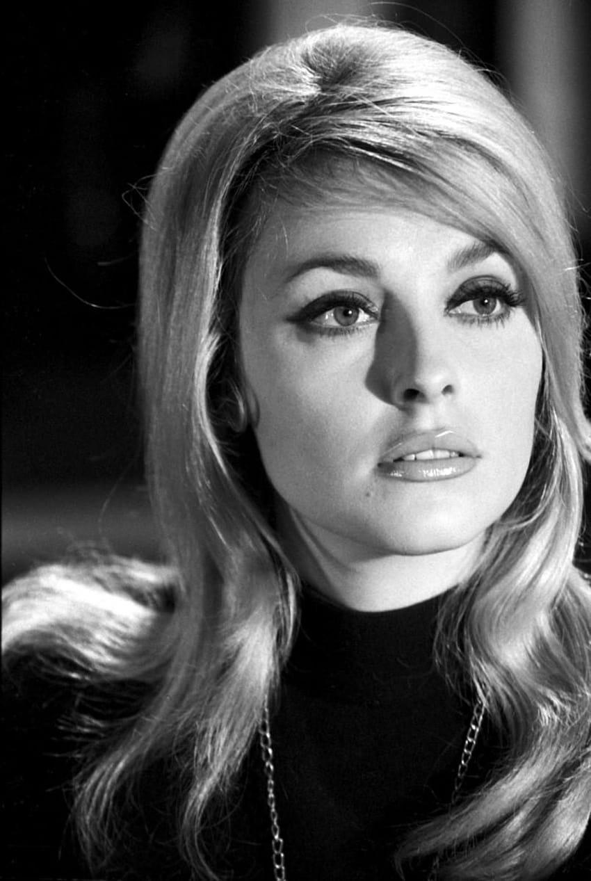 Sharon Tate 22 Of 98 Pics HD Phone Wallpaper Pxfuel