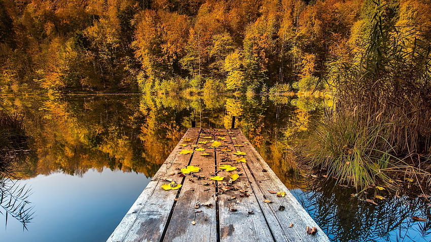 Autumn Lake, autumn 2560x1440 HD wallpaper | Pxfuel