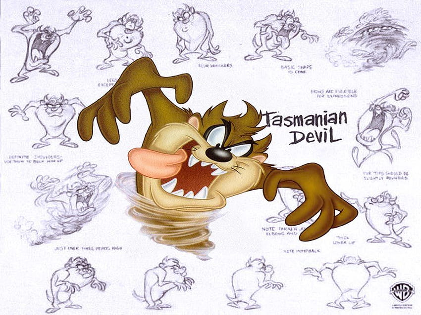 TAZ the Tasmanian Devil : 1 HD wallpaper