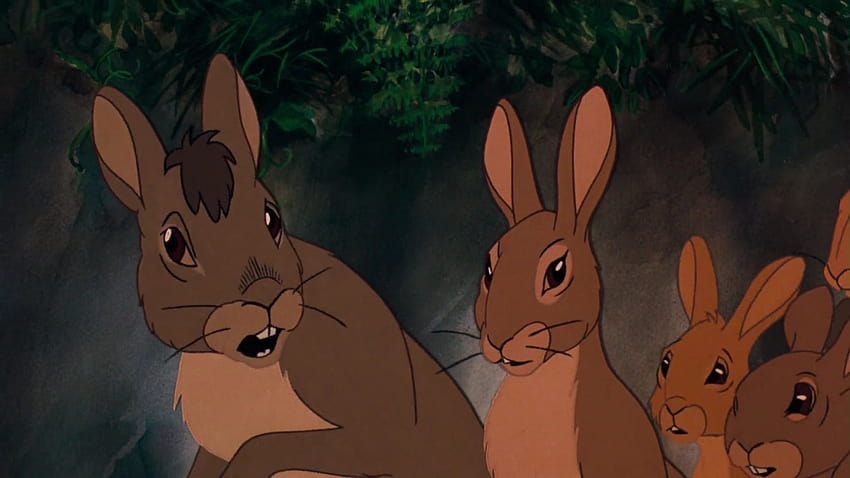 Watership Down HD wallpaper | Pxfuel