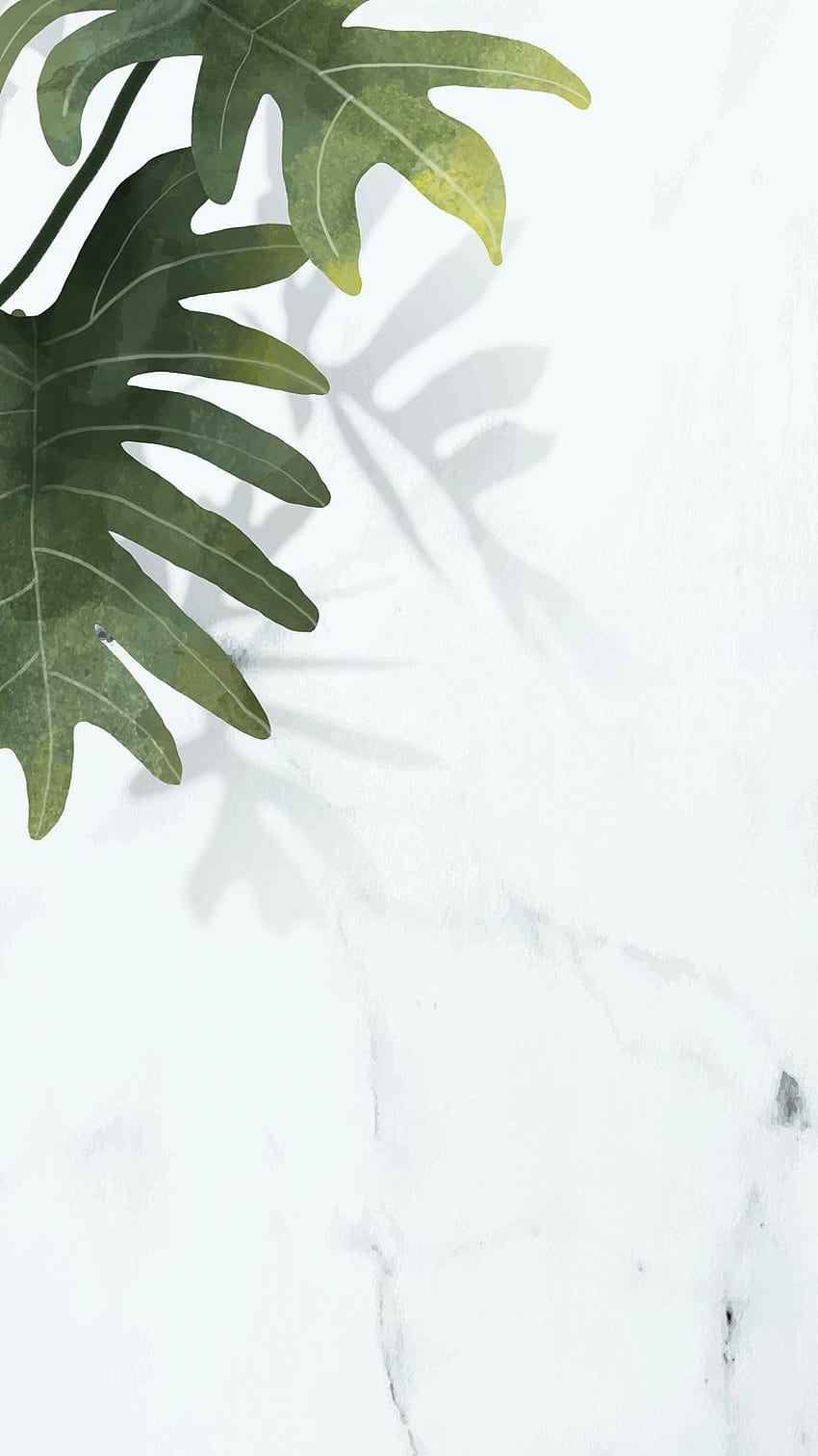 Vectors, PNGs, Mockups & Backgrounds, philodendron HD phone wallpaper
