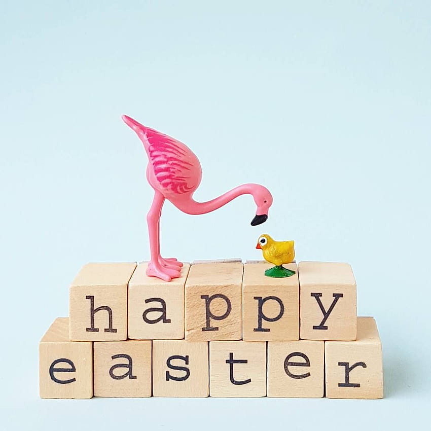 Happy Easter chick!, easter flamingos HD phone wallpaper