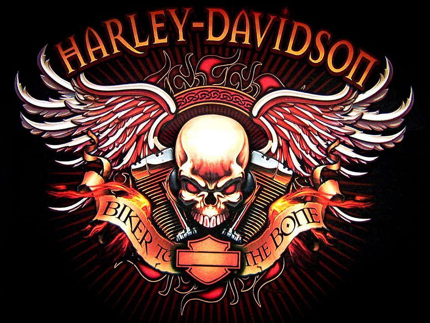 would make a cool tattoo without the harley davidson at the top, logo gothic tengkorak HD wallpaper
