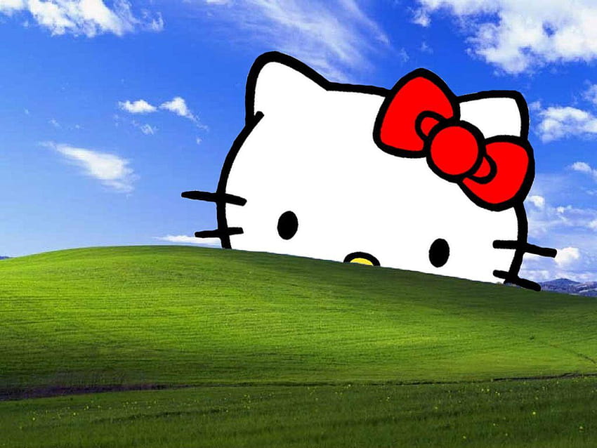 Hello Kitty-Hintergründe für Laptops [1280x960] für Ihr , Handy & Tablet und Ihren Laptop HD-Hintergrundbild