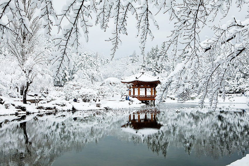 Südkorea Winter, Winter Südkorea HD-Hintergrundbild