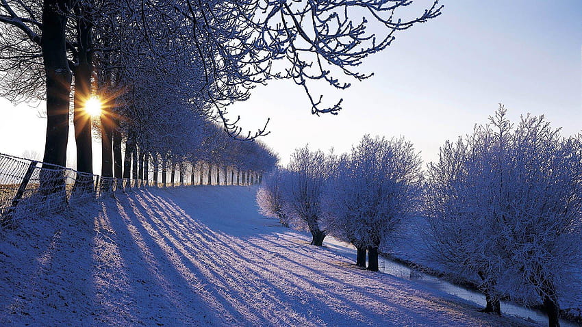 Países Bajos Invierno Naturaleza Nederland Europa Ventana, horario de invierno fondo de pantalla