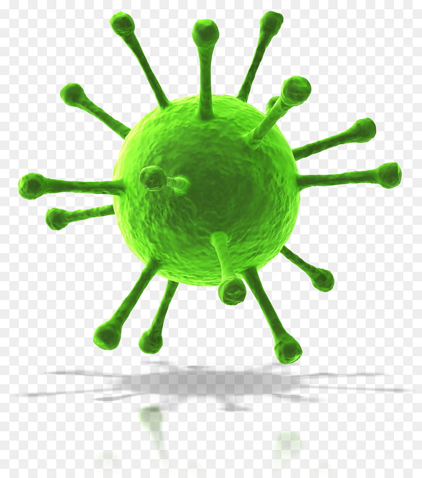 Зелена имунна система png HD тапет за телефон