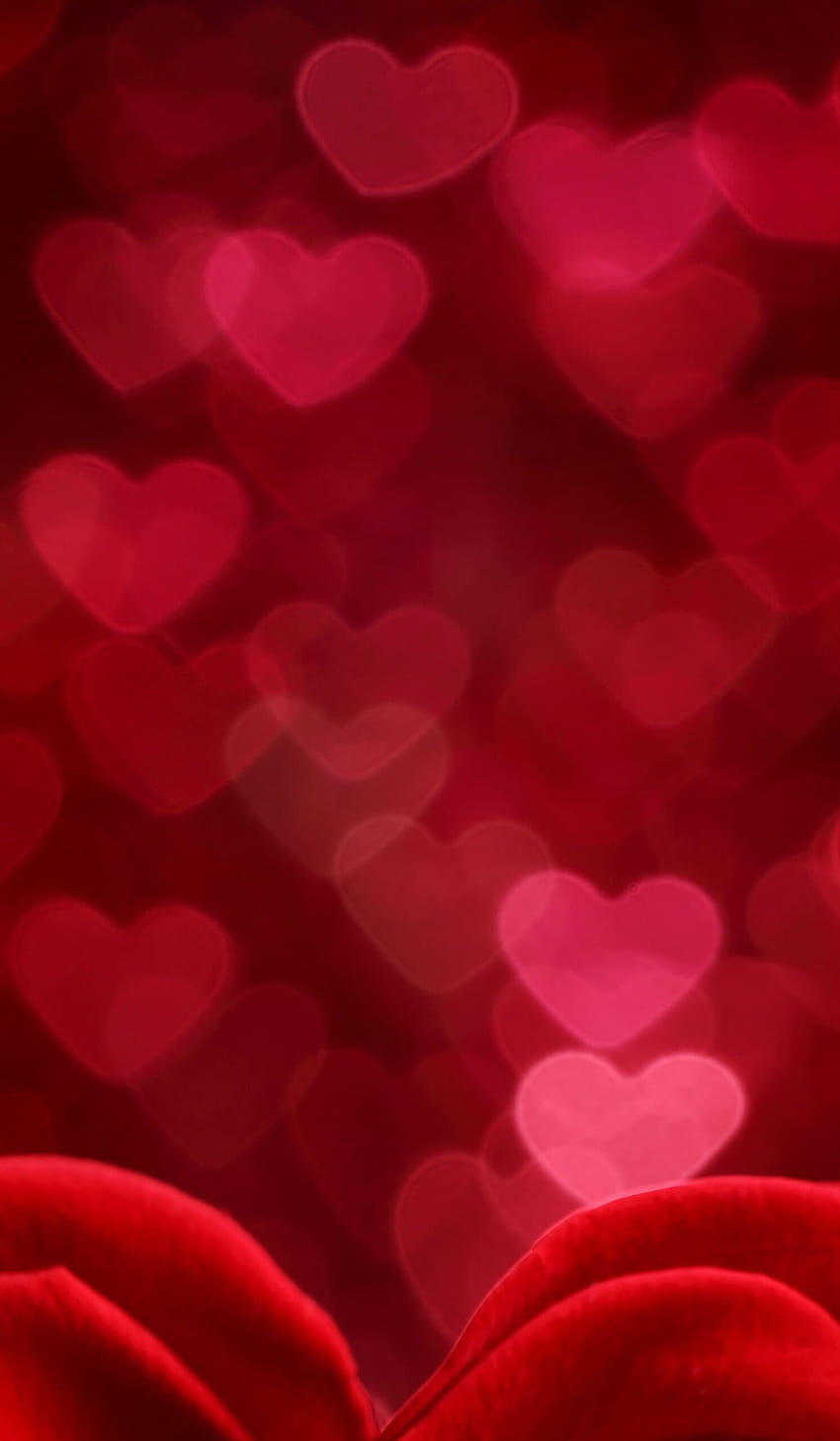 Đừng bỏ qua những những bức ảnh hoa hồng đỏ hình trái tim ngày Valentine dành cho người yêu thương của mình. Hình ảnh này sẽ đưa bạn đến với những cảm xúc nồng nàn và tình yêu đong đầy. Cùng ngắm nhìn những bông hoa tuyệt đẹp này và cảm nhận giá trị của tình yêu trong cuộc sống của bạn nhé!