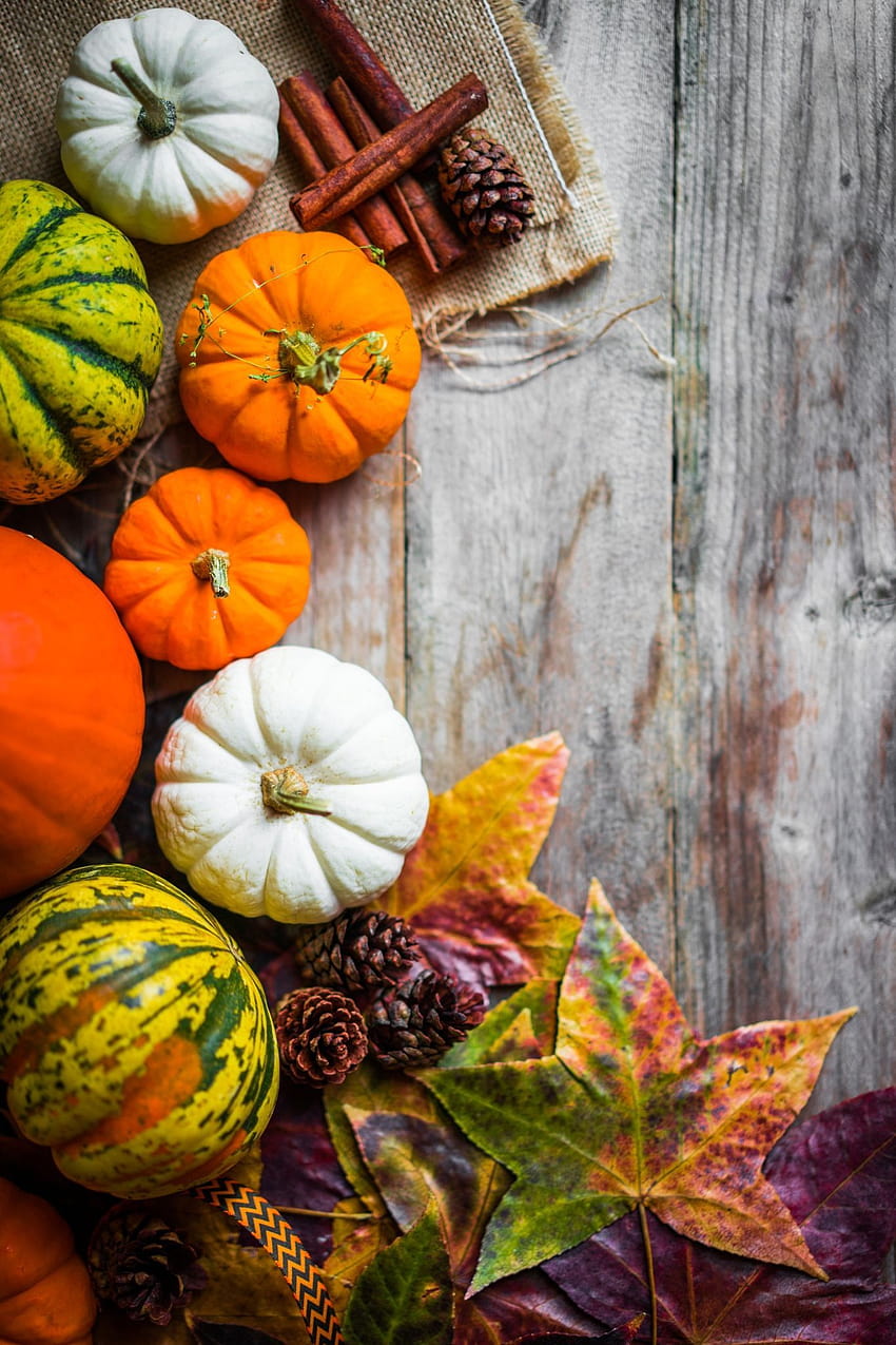 Cup of Coffee and Pumpkins and Autumn Leaves on Table  Free Stock Photo