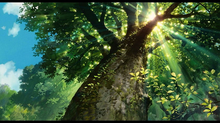 Anime landscape sunlight trees, anime scenery green HD wallpaper