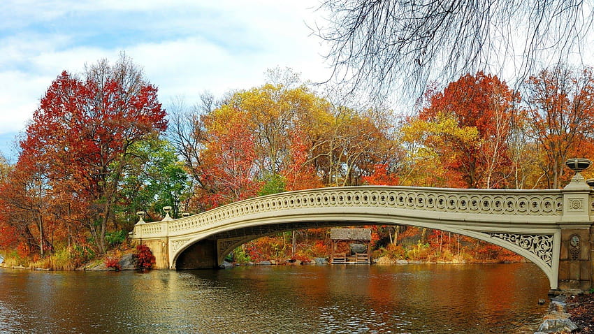 Best 5 Romantic Autumn in New York on Hip, nyc autumn HD wallpaper | Pxfuel