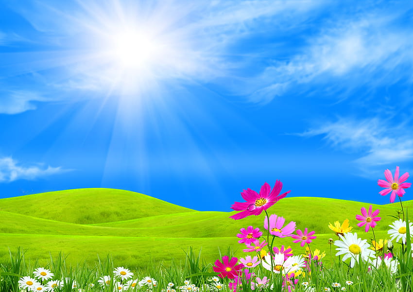 Spring Meadow Backgrounds, meadow computer HD wallpaper