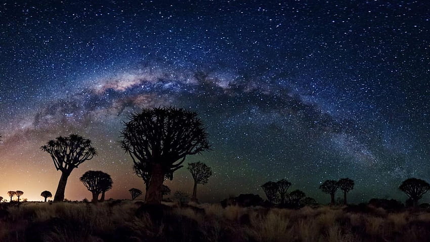 Milky Way Over Quiver Tree Forest, space, nasa, galaxies, quiver trees HD wallpaper