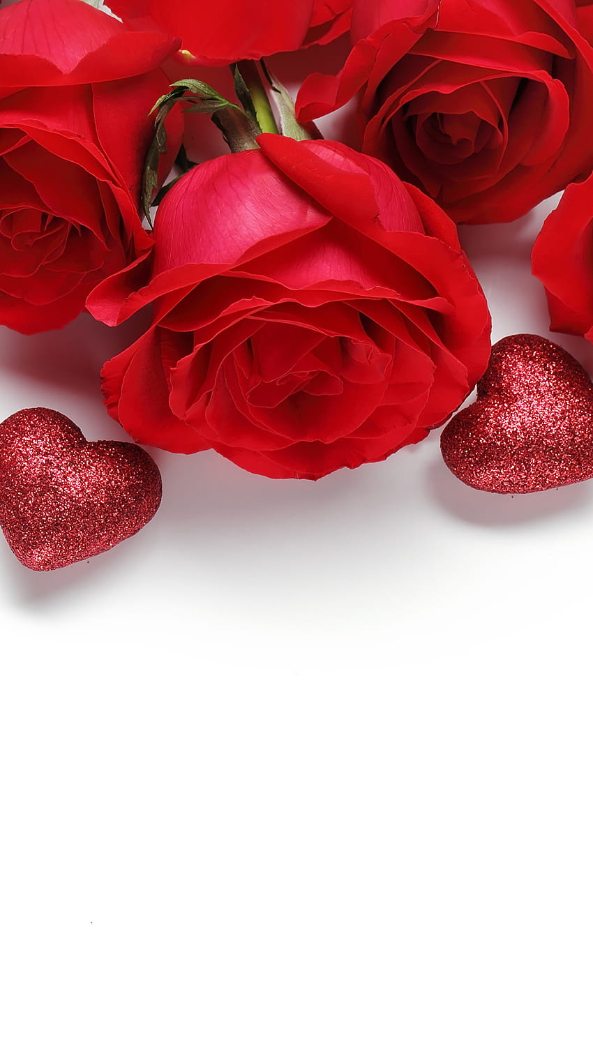 Valentine's Day Heart Red Roses Flowers White backgrounds 1440×2560, valentines day red and white HD phone wallpaper