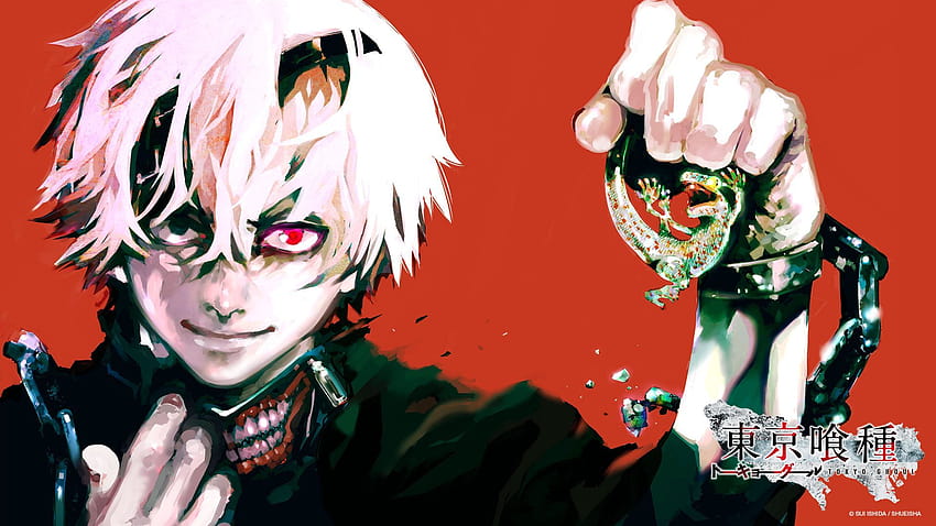 Kaneki manga, tokyo ghoul, tomo, HD phone wallpaper