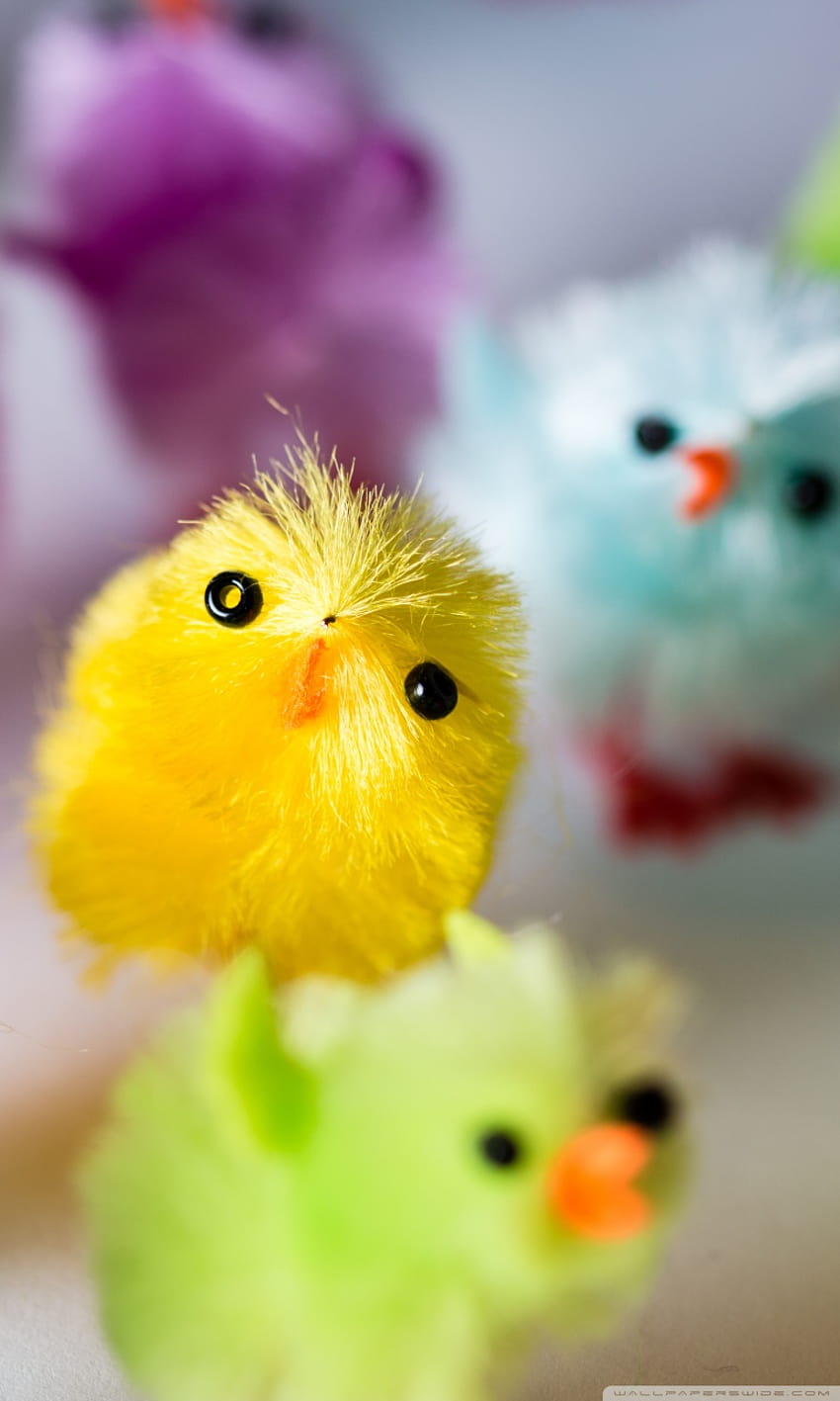 Multi Colored Easter Chicks Ultra Backgrounds for U TV : & UltraWide & Laptop : Tablet : Smartphone, colored chicks HD phone wallpaper
