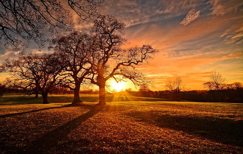 Autumn Sunset by Adrian Walmsley, fall sunset HD wallpaper | Pxfuel