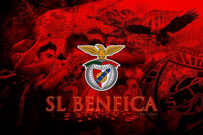 FC Porto, SL Benfica et Sporting CP Fond d'écran HD