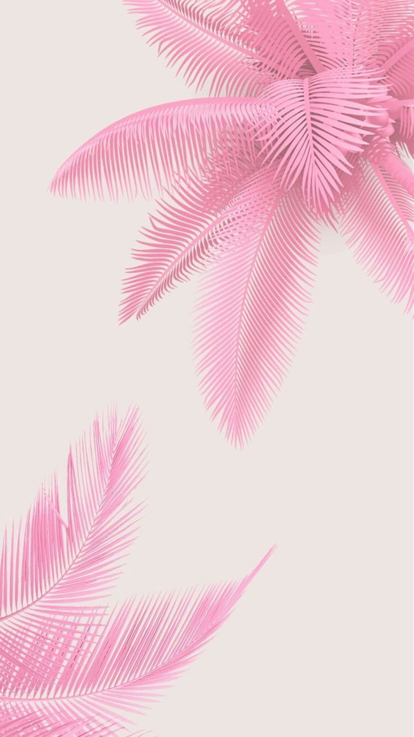 Aesthetic Summer Pink Beach phone aesthetic summer HD phone wallpaper   Pxfuel